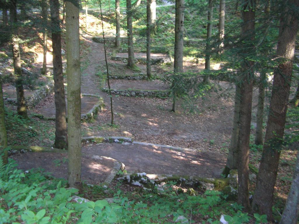 Camping Pivka Jama Postojna Exterior photo