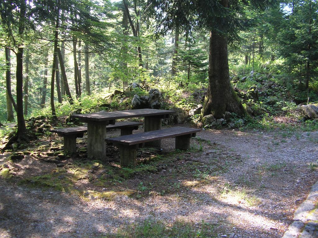 Camping Pivka Jama Postojna Exterior photo