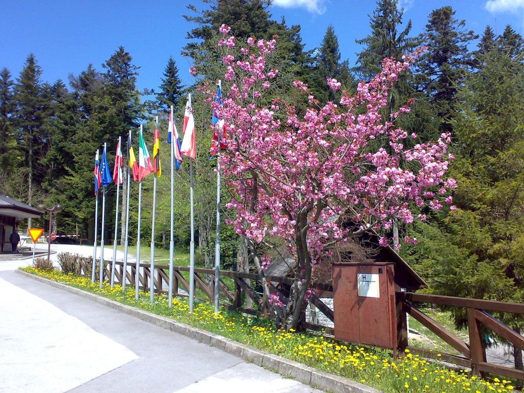 Camping Pivka Jama Postojna Exterior photo
